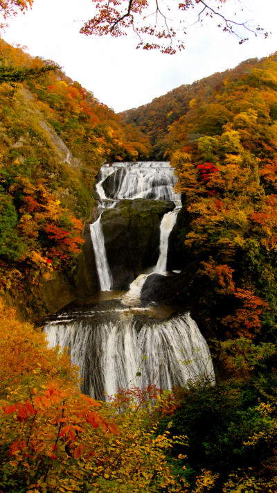 四段に流れ落ちる袋田の滝と紅葉が織りなす壮大な景観
