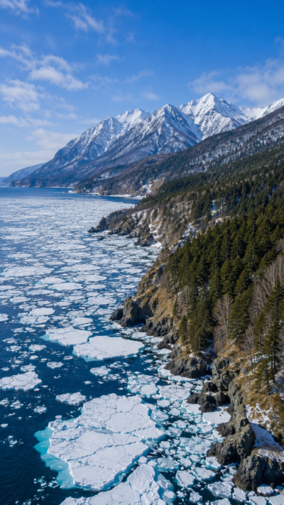 流氷が広がる知床の海と原生林が広がる北海道の自然風景。