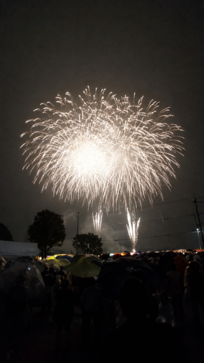 神奈川県綾瀬市の広々とした畑の向こうから赤や青や金色のスターマインが次々と打ち上がり最大15号玉の巨大な大輪が遮るもののない夜空いっぱいに広がる綾瀬市花火大会の光景