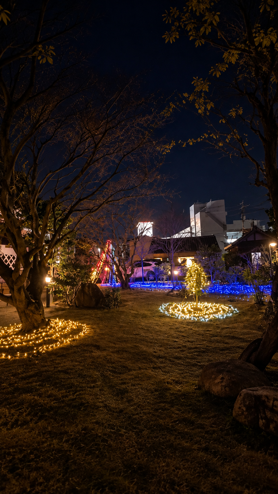 福島市の歴史ある御倉邸と日本庭園が色とりどりのイルミネーションに包まれる冬の夜の風景